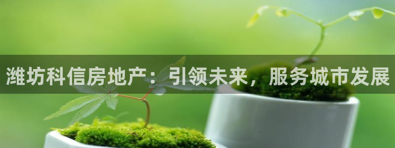 万向娱乐