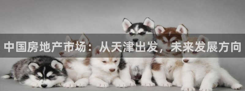 万向娱乐官网下载安装